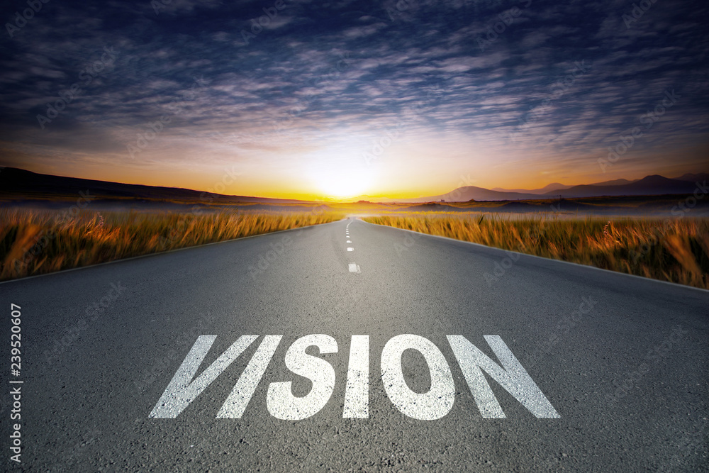 Vision
